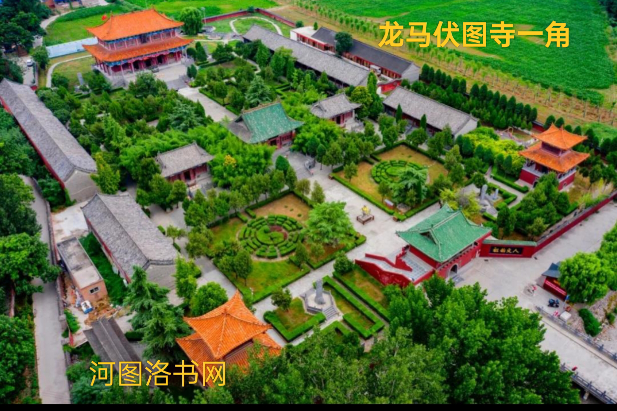 图片d1.png