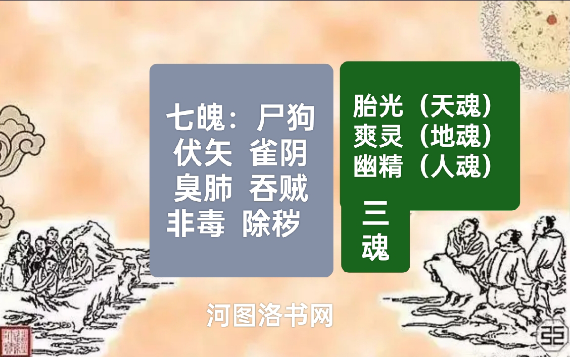 关于‌五脏藏神理论‌.png