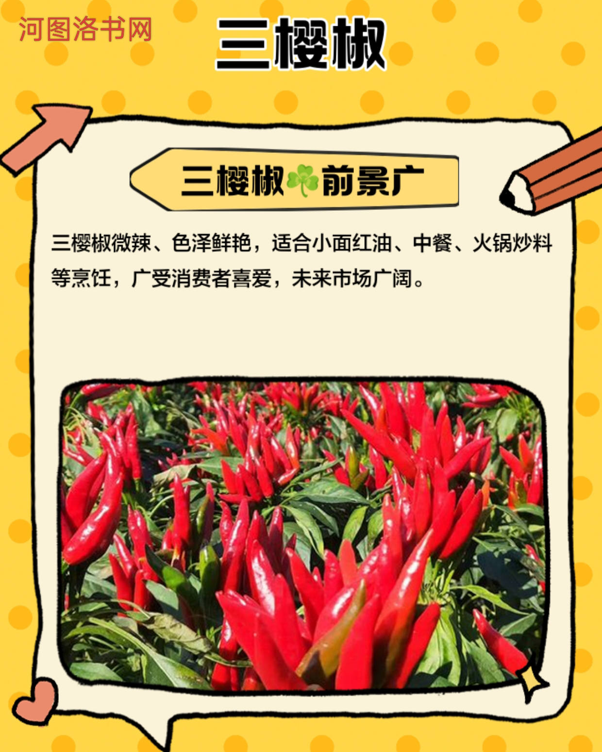 中国钻石之都和三樱椒之乡：商丘市柘城县成就火商文化之天火同人局1.png