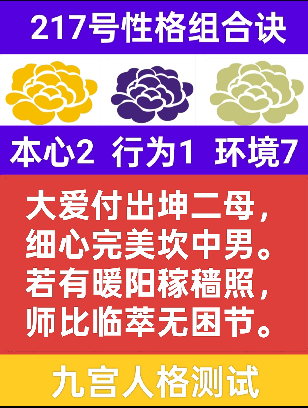 暖阳里的花1.png