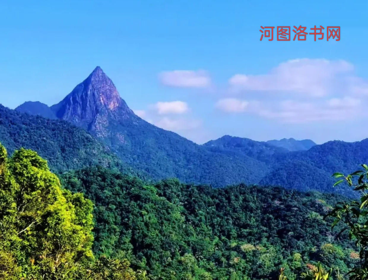 海南乐东尖峰岭森林公园.png