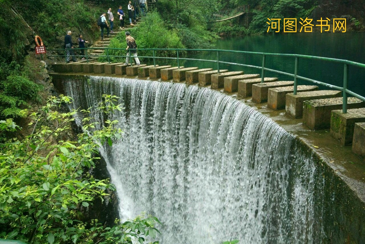 浙江大奇山国家森林公园.png