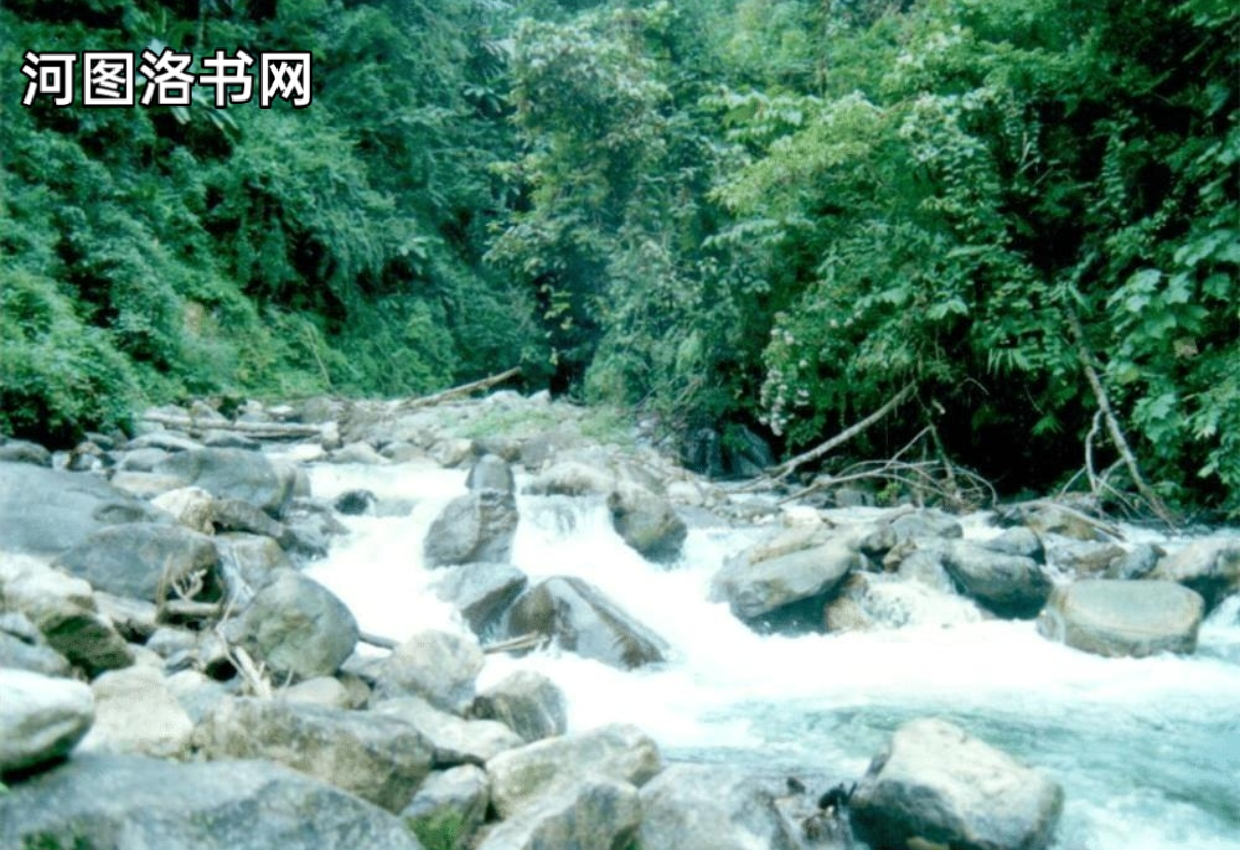 西藏江南：察隅慈巴沟﻿.png