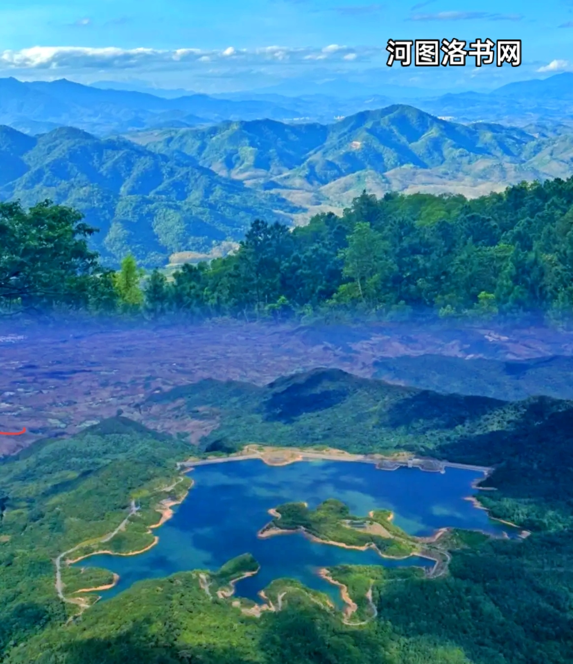 黎母山森林公园.png